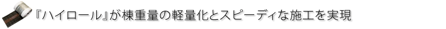 dʂ̌yʉƎ{H̊ȗɁwnC[xV[Y