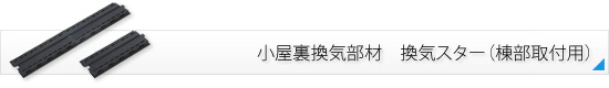 Cށ@CX^[itpj